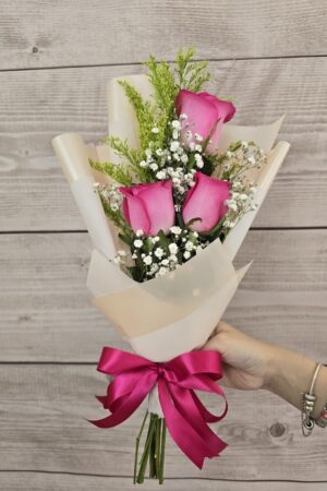 3 Rosas Fuscia