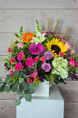 Alegría Floral