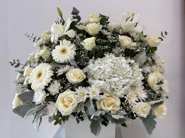 Recuerdo Blanco - Image 2