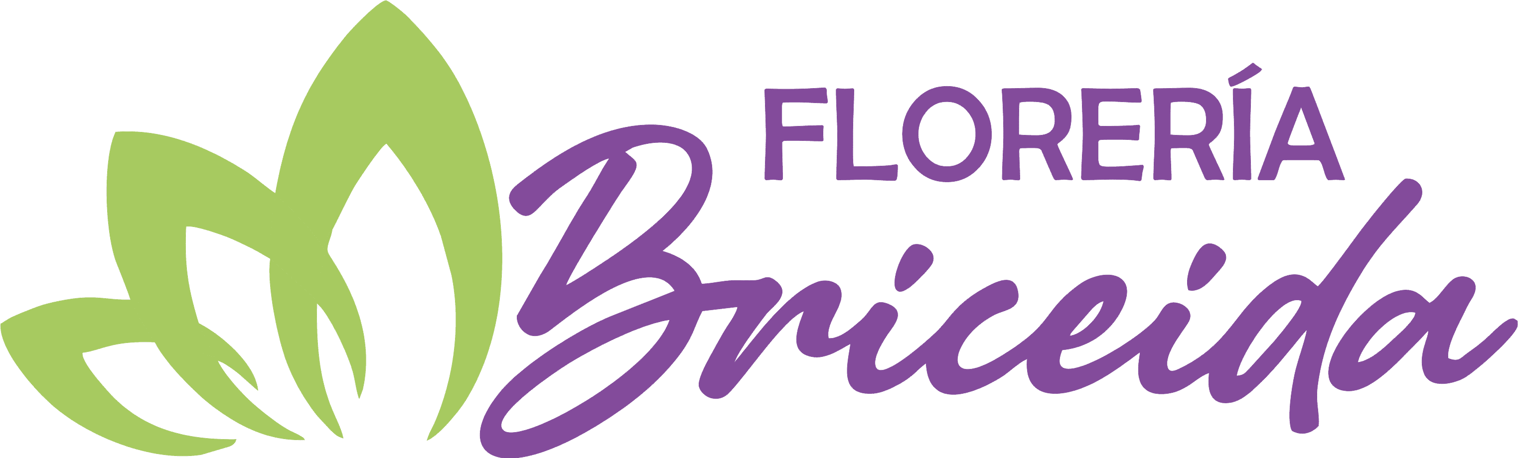 Florería Briceida - Cd. Obregón Sonora logo