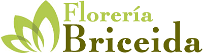 Floreria Briceida – Obregon Sonora